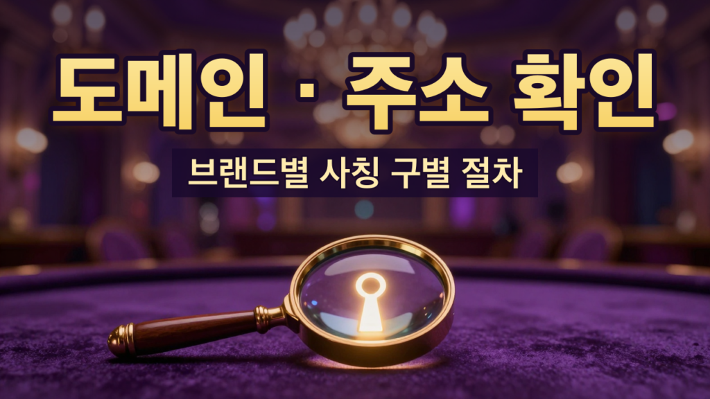 카지노 도메인·주소 확인과 사칭 구별 안내 대표이미지